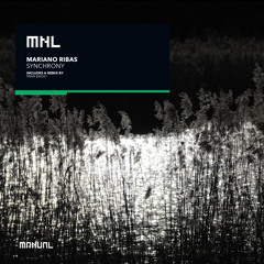 Synchrony (Fran Baigo Remix)