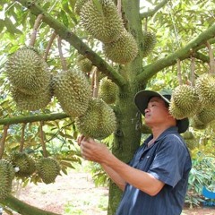 Thịnh Vượng Group là một trong những đơn vị lắp đặt kho lạnh uy tín tại Đắk Lắk