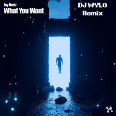 What You Want (DJ WYLO Remix)