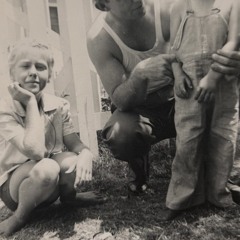 Dolphin Cover Thanksgiving Snow storm