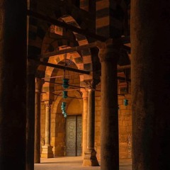 لاموني الناس على حبي - فايد محمد فايد