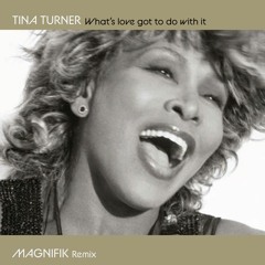 Tina Turner - What's Love Got To Do With It (Magnifik Remix)