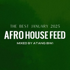 Afro House Best of January 2025 - Mixed by ATANG (BW)