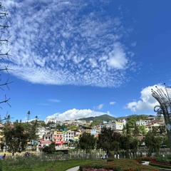Untitled playlist