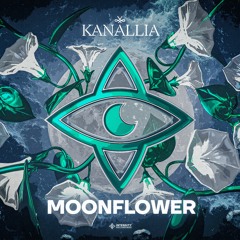 Kanallia - Moonflower