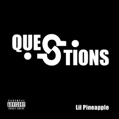 Lil Pineapple - QUESTIONS