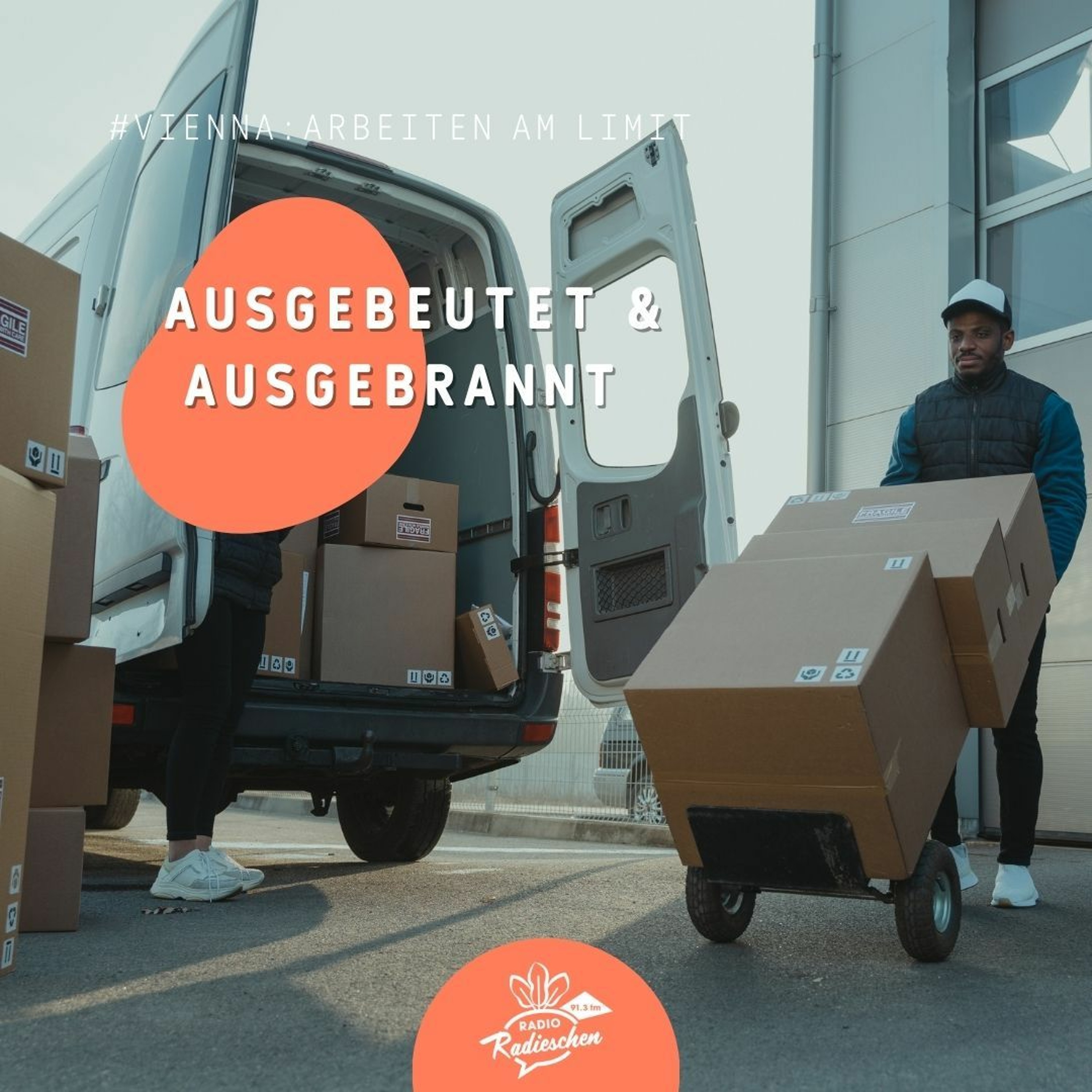 #Vienna: Arbeiten am Limit episode artwork