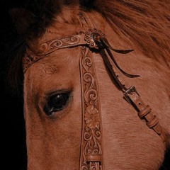 يَعِزُّ عَلَيَّ حينَ أُديرُ عَيني؛ أُفَتِّشُ في مَكانِكَ لا أَراكا