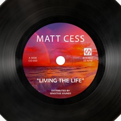 Matt Cess - Living The Life (Original Mix) Free Download