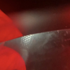 Антитуса x Hoodprouds