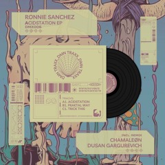 PREMIERE: Ronnie Sanchez - Acidstation (Chamaleøn Remix) [DMN TRAXX]