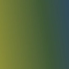 feed the cats - live session tape no. 5