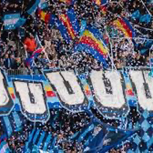 FORZA DJURGÅRDEN