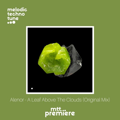 mtt PREMIERE : Alenor - A Leaf Above The Clouds (Original Mix) | Wout Records |