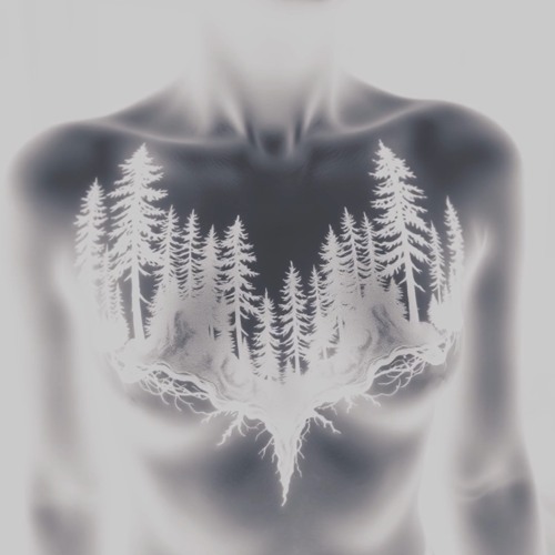 fall-through (p. coreystax)