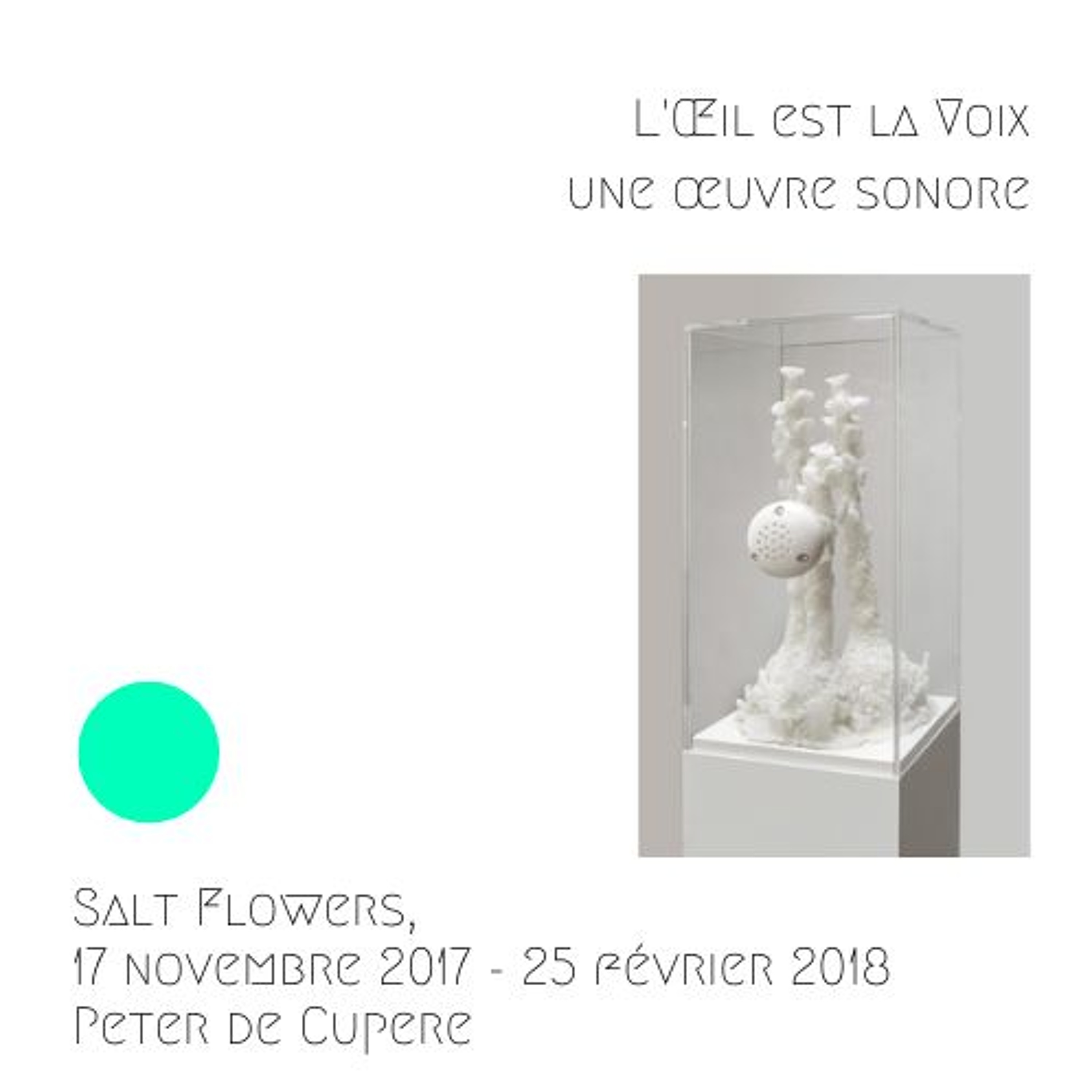 Salt Flowers, 2017-2018, Peter de Cupere