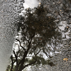 Infinite Reflections