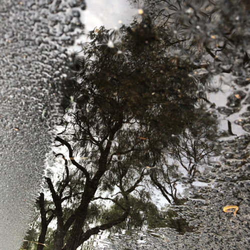 Infinite Reflections