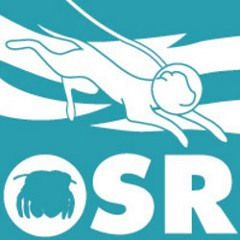 Retrospective. Offshore Recordings