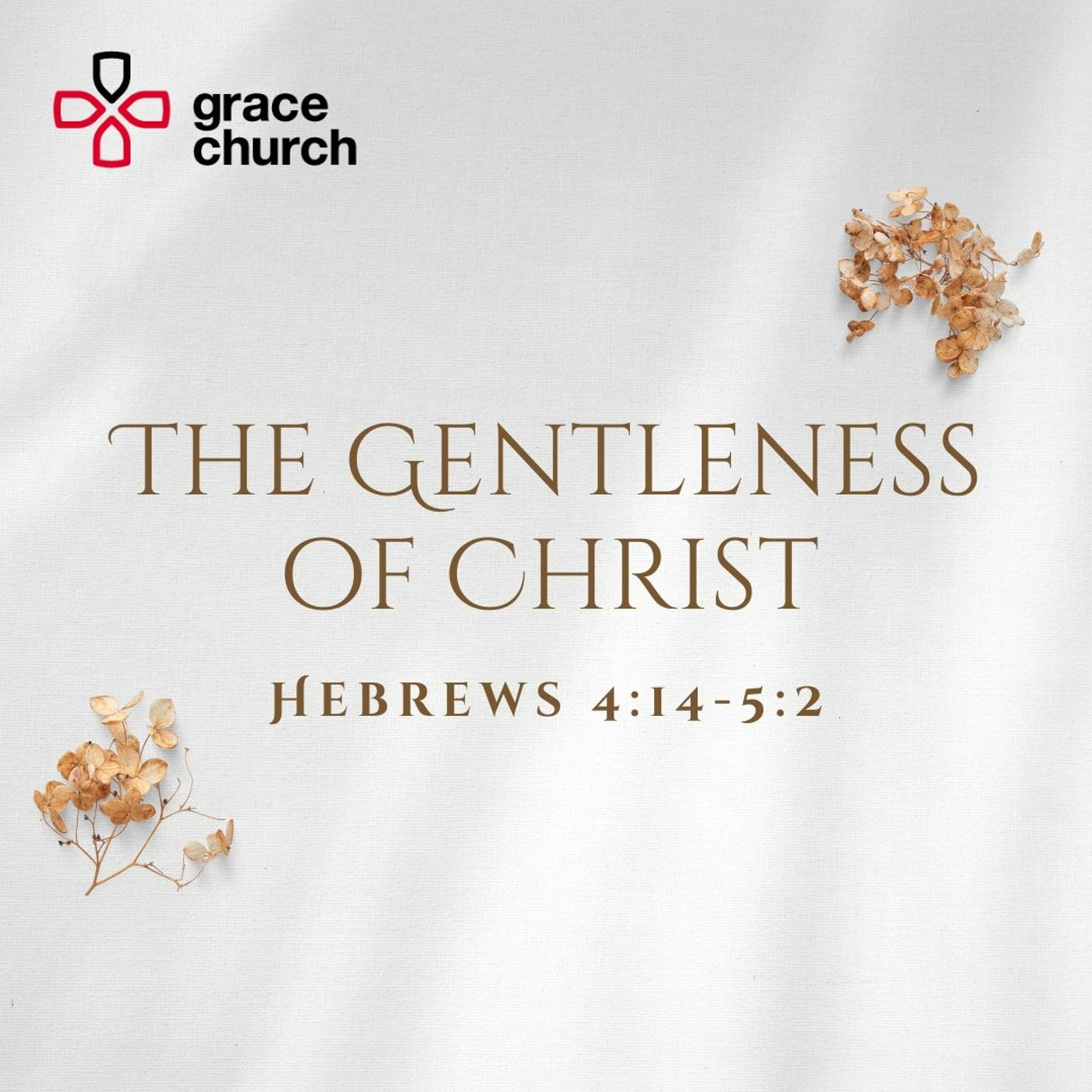 The Gentleness of Christ | Hebrews 4:14-5:2 | 30/04/23 | Pete Greasley
