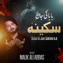Baba Ki Jaan Sakina - Malik Ali Abbas | New Nohay 2022