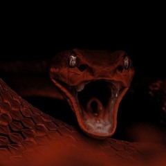 VIPER