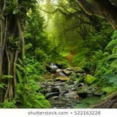 Into The Wild (Prod. G-Space)