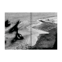 Fluid Motion