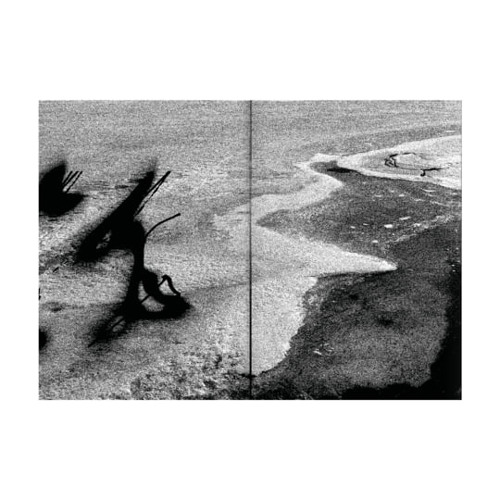 Fluid Motion
