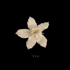 FAVOR - YSA (ORIGINAL)