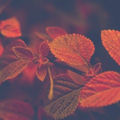 FreeTempo Mix