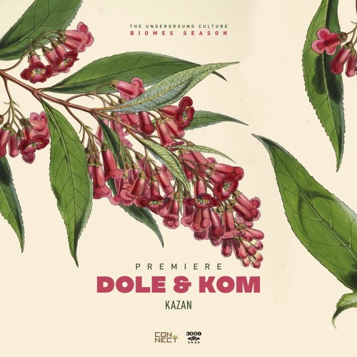 PREMIERE: Dole & Kom - Kazan [3000GRAD]