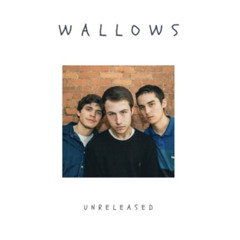 Wallows/The Feaver - The Formula (Live)