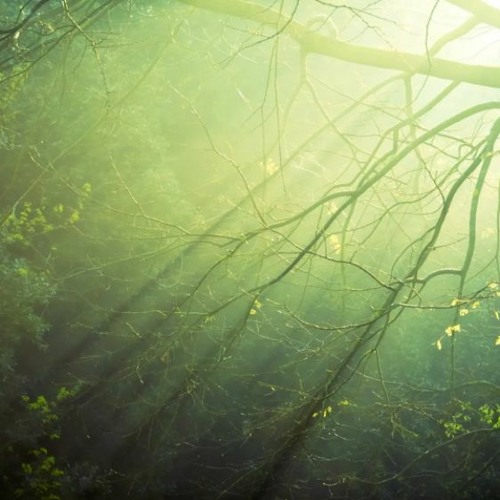 Abraham: audio background DOWNLOAD