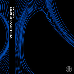 YellowHeads - 001x001 (Original Mix)