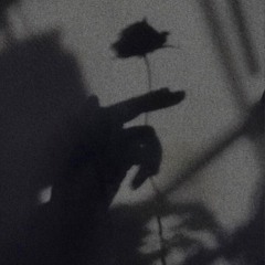 Chris Grey - Ride