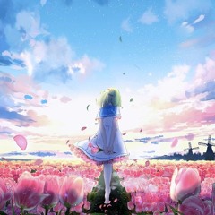 tulipa