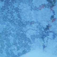 Live at Human Resources, Pt. 8