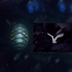 Corazon de pajarito - paisaje sonoro