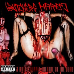 BUTCHERS HAREM - Bolemic Snuff Abatoir