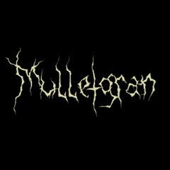 "Mülletgran" by Mülletgran (from the forthcoming album "Mülletgran")