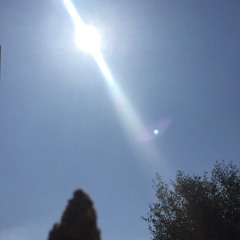 Shakti Twins- A La Recherche Du Temps Perdu