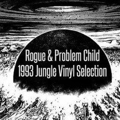 Rogue & Problem Child - 1993 Jungle Vinyl Selection