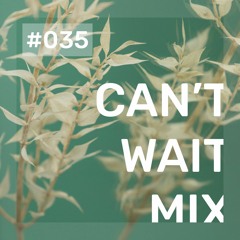 Can't Wait Mixes