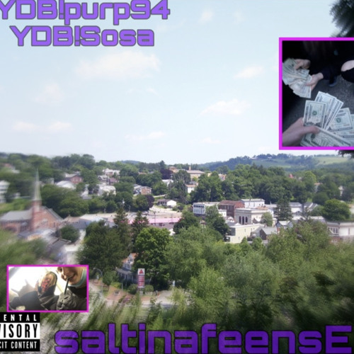 Saltina Feens(prod.TyDavid)