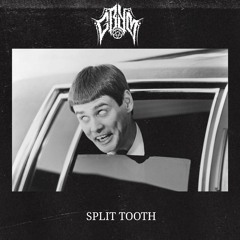 SPLIT TOOTH