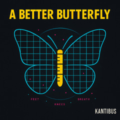 A Better Butterfly