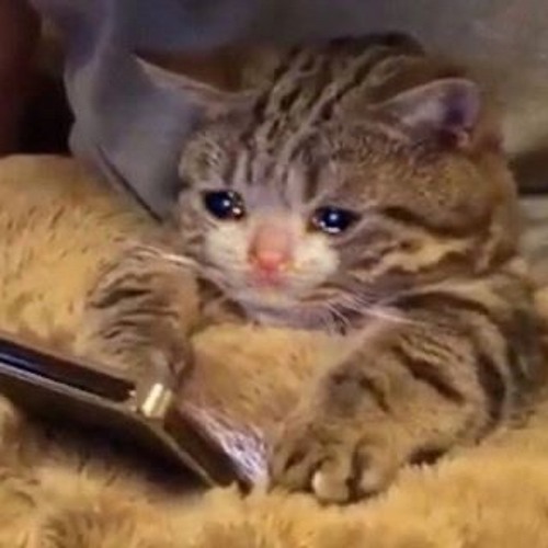 นอยสัส