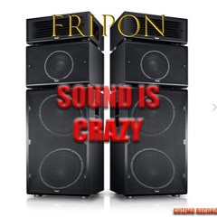 Fripon - Sound-is-crazy