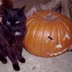 dj hoodwitch - everyday is halloween